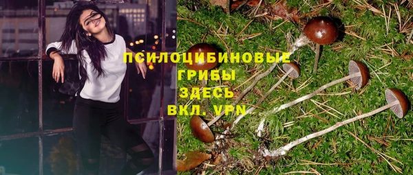 мескалин Алексин