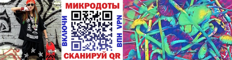 MEGA зеркало  Ардон  Псилоцибиновые грибы мицелий  купить наркотики цена 